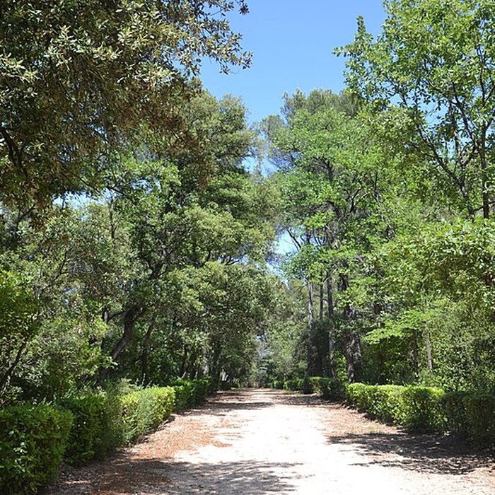 Photo de Château du Martinet