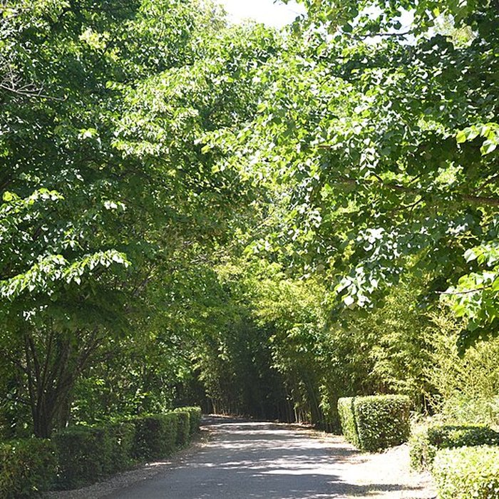 Photo de Château du Martinet