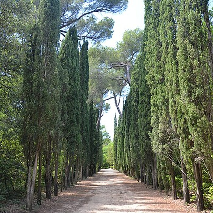 Photo de Château du Martinet