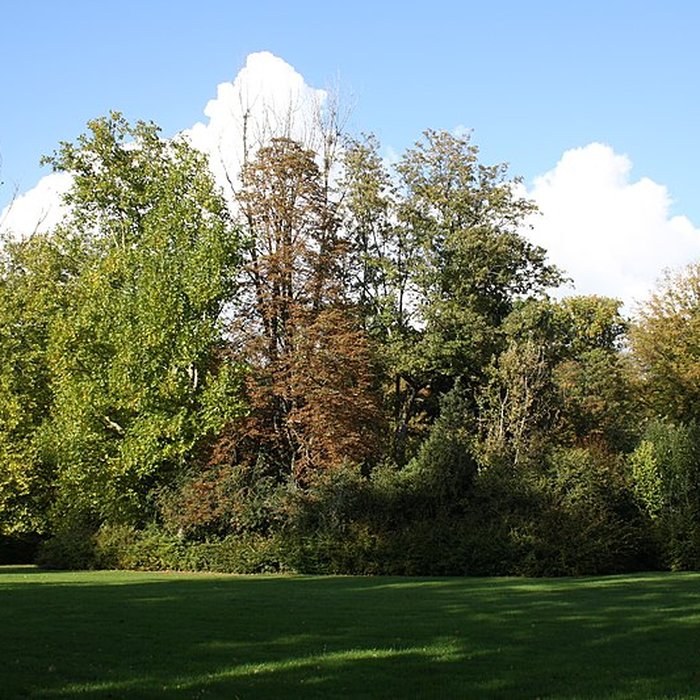 Photo de Château du Mesnil-Saint-Denis