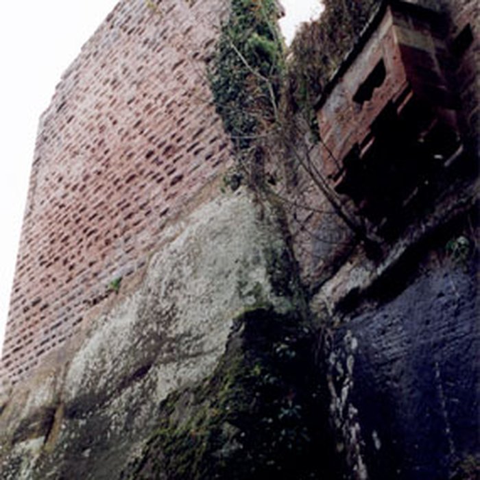 Photo de Château du Nouveau-Windstein
