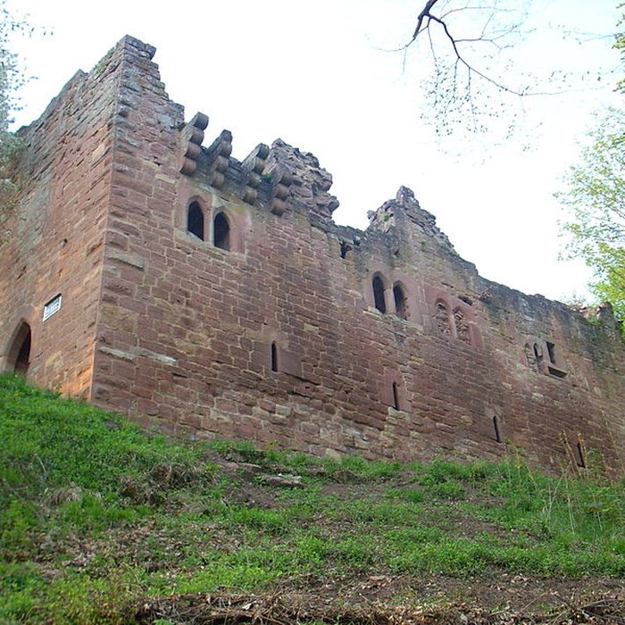 Photo de Château du Nouveau-Windstein