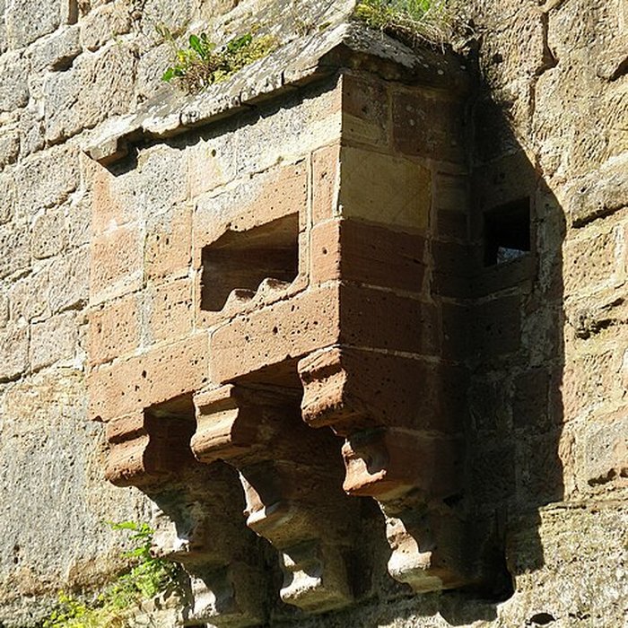 Photo de Château du Nouveau-Windstein