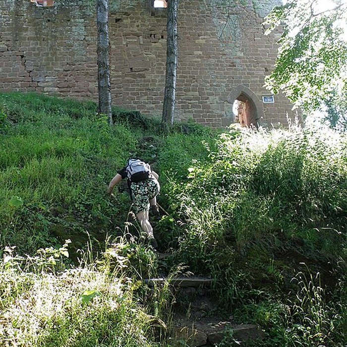 Photo de Château du Nouveau-Windstein