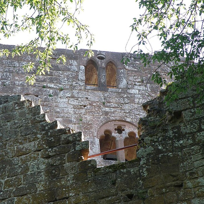 Photo de Château du Nouveau-Windstein