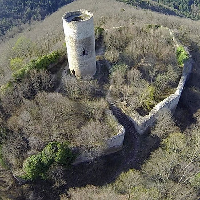 Photo de Ruines du château de Pflixbourg
