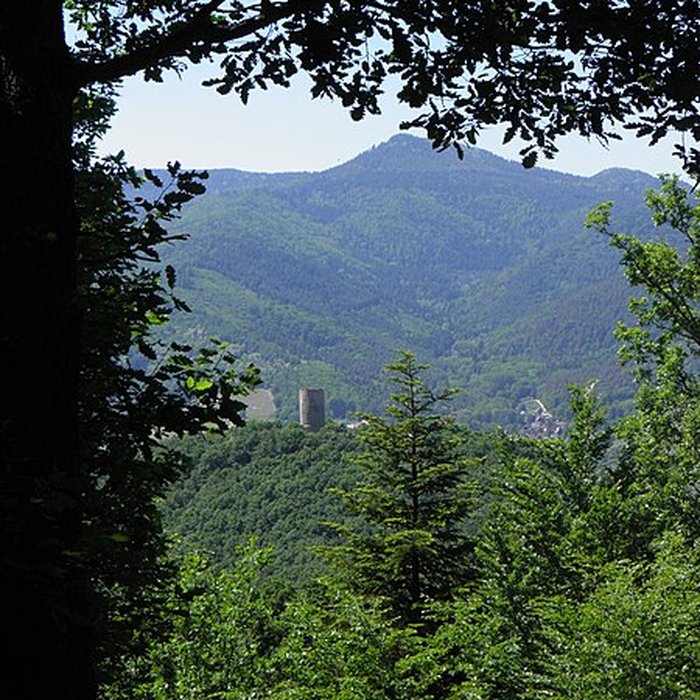 Photo de Ruines du château de Pflixbourg