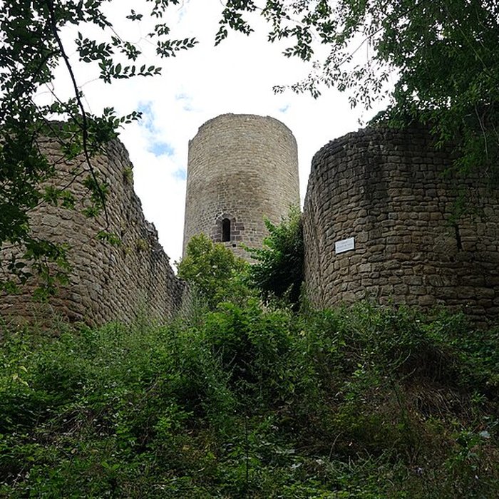 Photo de Ruines du château de Pflixbourg