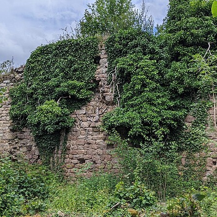 Photo de Ruines du château de Pflixbourg