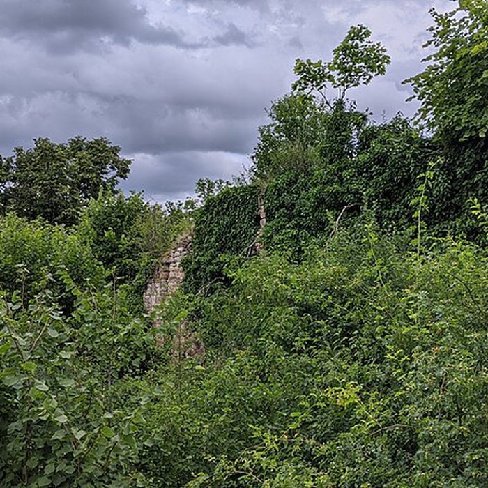 Photo de Ruines du château de Pflixbourg