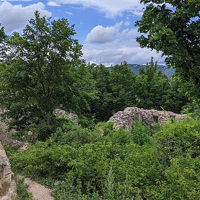 Photo de Ruines du château de Pflixbourg