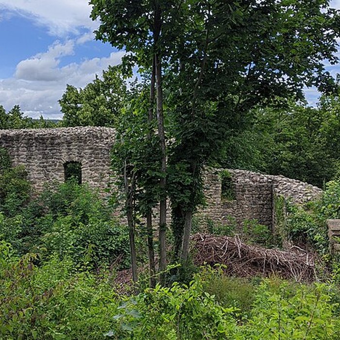 Photo de Ruines du château de Pflixbourg