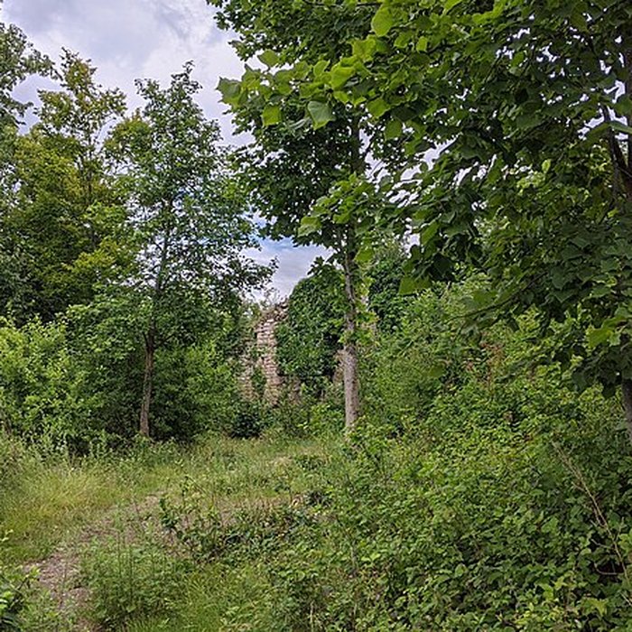 Photo de Ruines du château de Pflixbourg