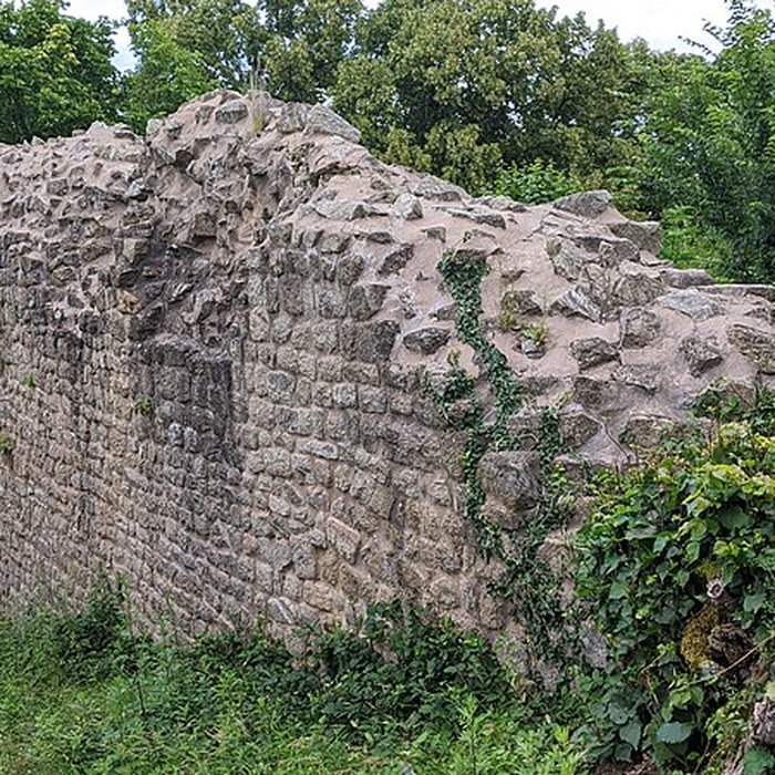 Photo de Ruines du château de Pflixbourg