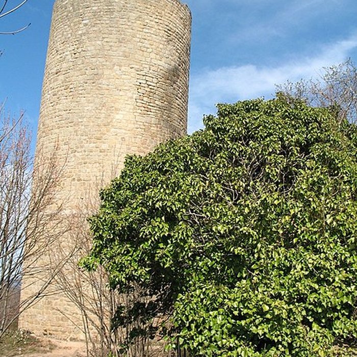 Photo de Ruines du château de Pflixbourg