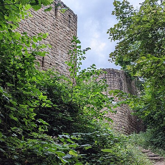 Photo de Ruines du château de Pflixbourg