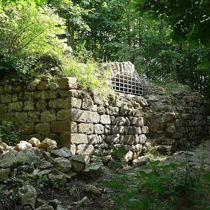 Photo de Ruines du château de Pflixbourg
