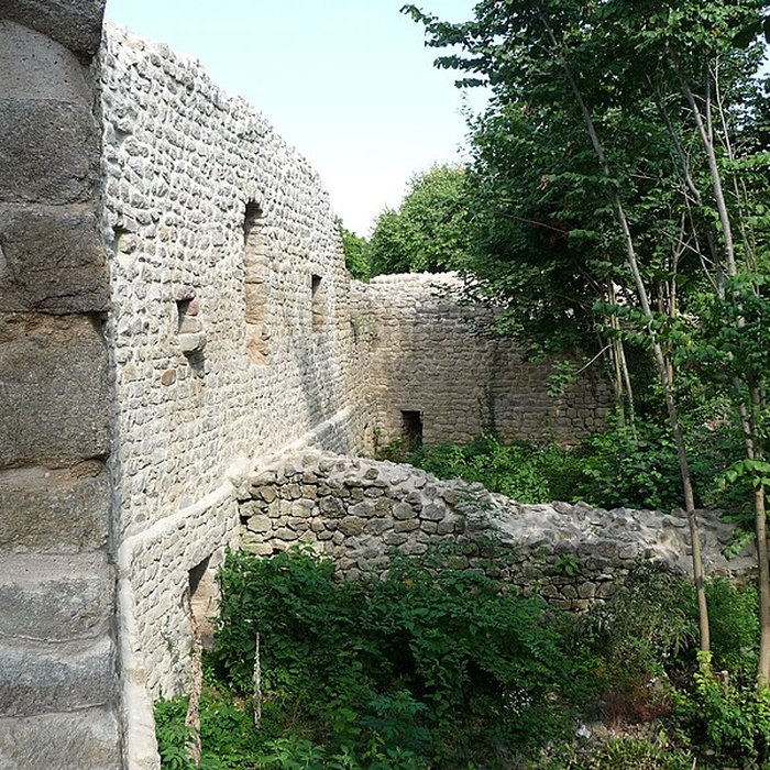 Photo de Ruines du château de Pflixbourg