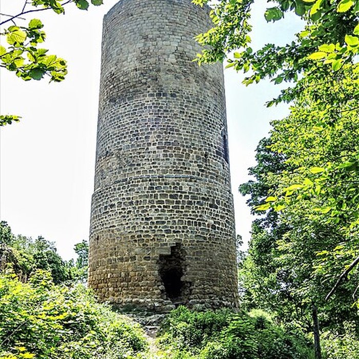 Photo de Ruines du château de Pflixbourg