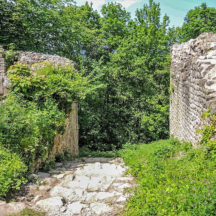 Photo de Ruines du château de Pflixbourg