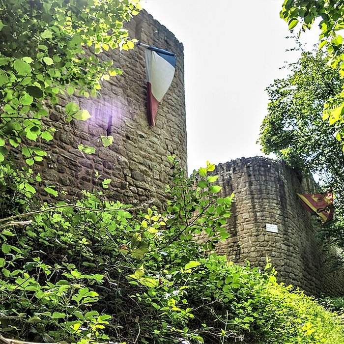 Photo de Ruines du château de Pflixbourg
