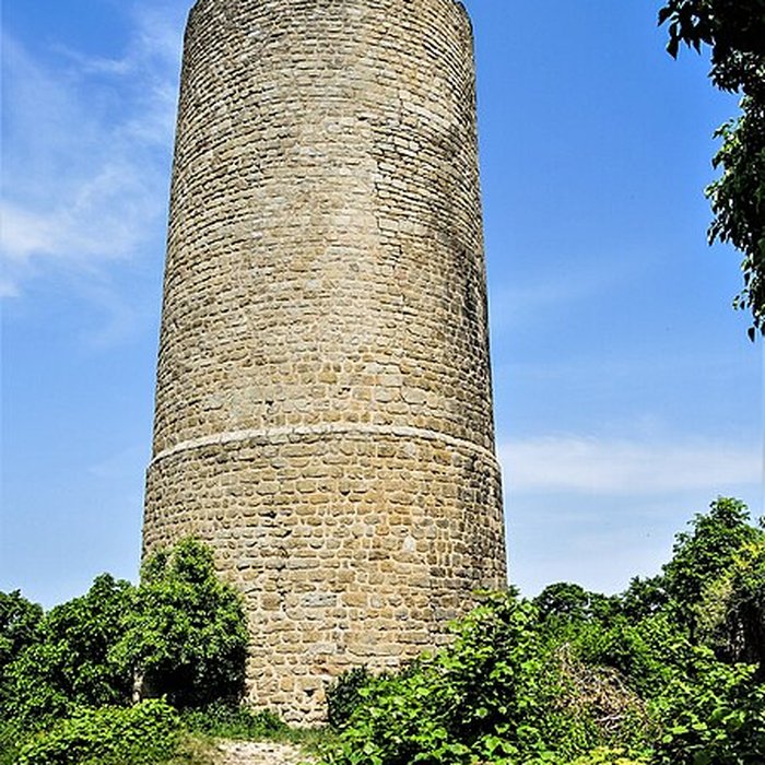 Photo de Ruines du château de Pflixbourg