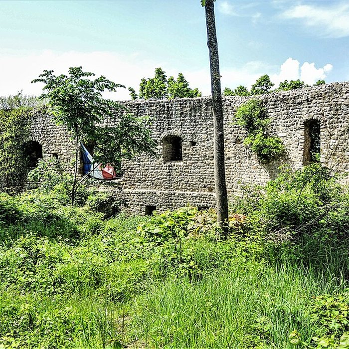 Photo de Ruines du château de Pflixbourg