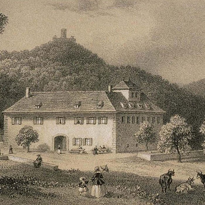 Photo de Ruines du château de Pflixbourg