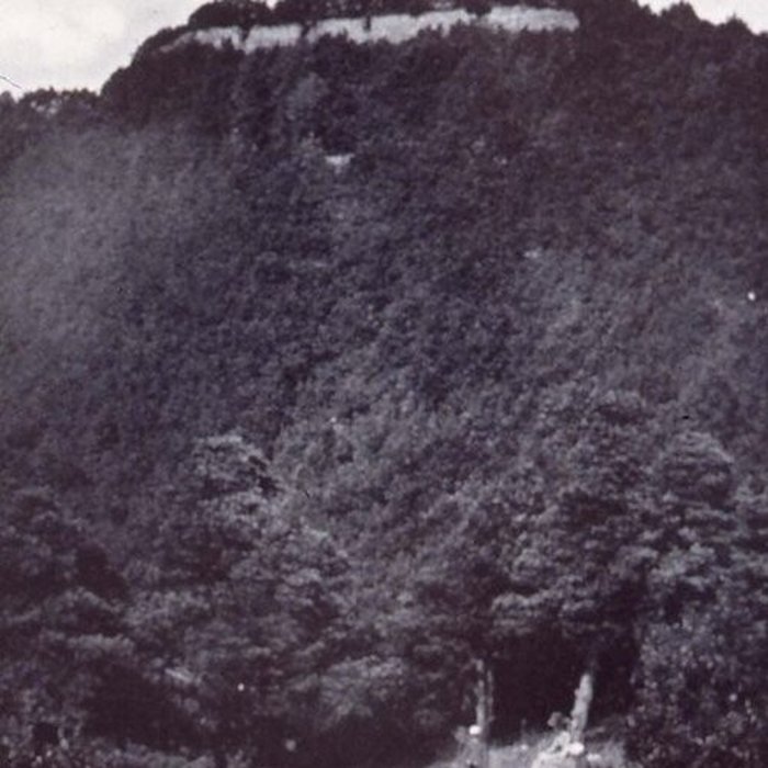 Photo de Ruines du château de Pflixbourg