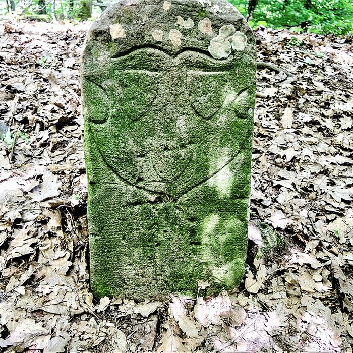 Photo de Ruines du château de Pflixbourg