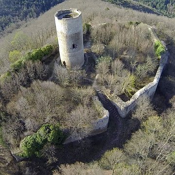 ruines du chateau de pflixbourg