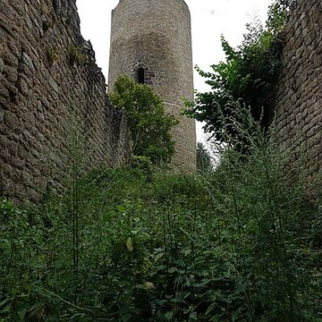 Ruines du château de Pflixbourg