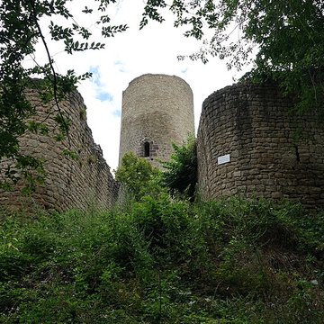 Ruines du château de Pflixbourg