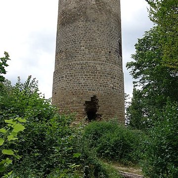 Ruines du château de Pflixbourg