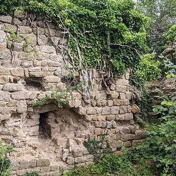 Ruines du château de Pflixbourg