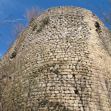 Ruines du château de Pflixbourg