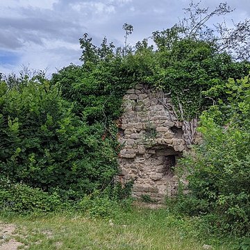 Ruines du château de Pflixbourg