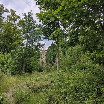 Ruines du château de Pflixbourg