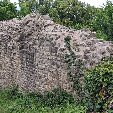 Ruines du château de Pflixbourg