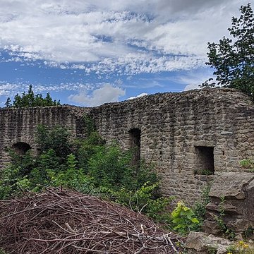 Ruines du château de Pflixbourg