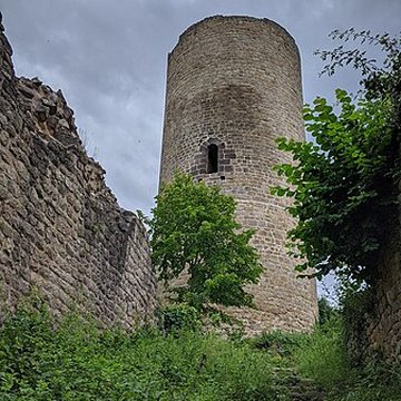 Ruines du château de Pflixbourg