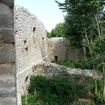 Ruines du château de Pflixbourg
