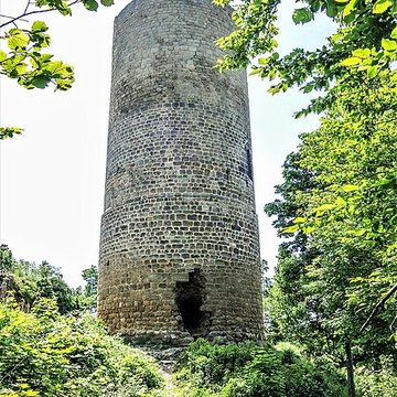 Ruines du château de Pflixbourg