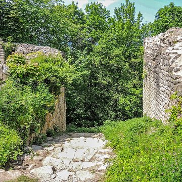 Ruines du château de Pflixbourg