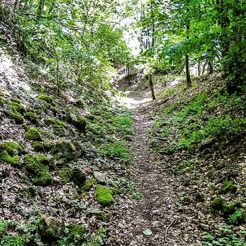 Ruines du château de Pflixbourg