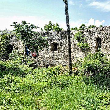 Ruines du château de Pflixbourg
