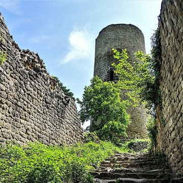 Ruines du château de Pflixbourg
