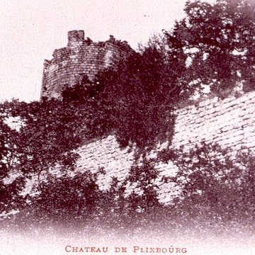 Ruines du château de Pflixbourg