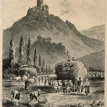 Ruines du château de Pflixbourg