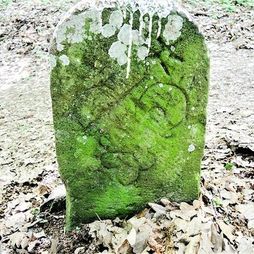 Ruines du château de Pflixbourg